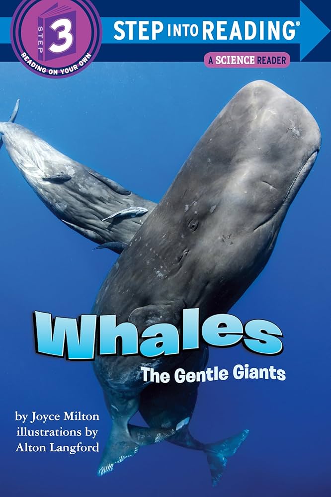 The Gentle Giants of the Sea: Whales